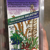 Natural Dried Seaweed for both Freshwater and Saltwater Fish