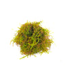 Java Moss