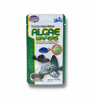 Hikari Algae Wafers