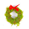 Christmas Moss Wreath