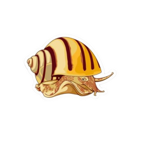 Mystery Snail Sticker