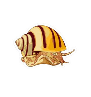 Mystery Snail Sticker
