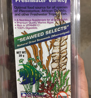 Natural Dried Seaweed for both Freshwater and Saltwater Fish