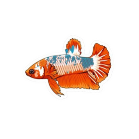 Galaxy Betta Sticker