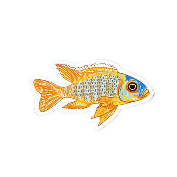 Yellow Peacock Cichlid Sticker