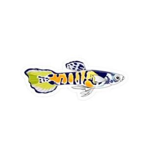 Tiger Endler Sticker