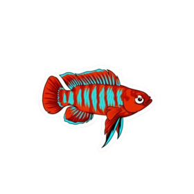 Scarlet Badis Sticker