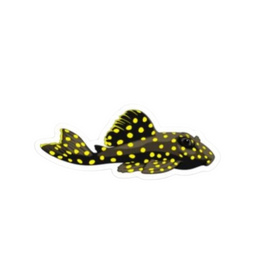 Gold Nugget Pleco Sticker